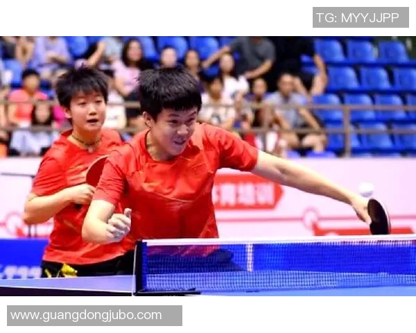 杭州乒乓球队状态分析与未来展望聚焦乒乓球运动发展